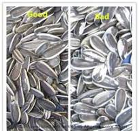 CCD High Accuracy Color Sorter for Sunflower Seeds/ Seeds ...