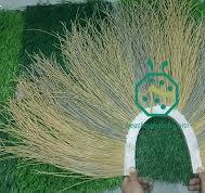 Best Coiron Straw Thatch For Tropical Sunshade Houses,China ...