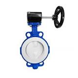 Concentric Vs Eccentric Butterfly Valve: Key Differences | Dombor