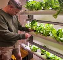 Building a Homemade Hybrid NFT System - Ponics Life