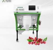 Green Coffee Bean Color Sorter 1ton/h Optical Color Sorter Nuts Tea Machine  NP Brand with 99.9% Accuracy and 110/220/380V