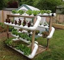 a DIY hydroponic system, utilizing a vertical NFT (Nutrient ...