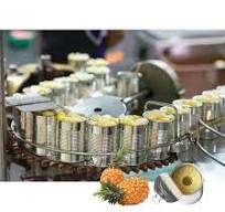 Factory Automatic Industrial Canned Fruit Ginaca Pineapple ...
