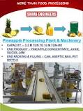 Pineapple Processing Machinery, Capacity: >500 kg/hr at ...