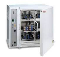 Thermo Scientific™ Cytoperm™ 2 Tri-gas Incubator, 220 L, Electropolished  Stainless Steel