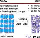 Poly(m-xylylene adipamide)/LiCl Composite Foams with ...