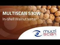 Multiscan S30W / In-shell Walnut sorter