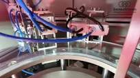 Cap Nut Inspection Machine | Advanced Optical Sorting Machine for Cap Nuts