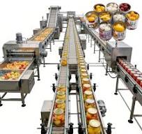 Pineapple Canning Production Line Canned Pineapple Processing Machine