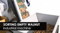 Machine for separating empty walnut in shell. Walnut sorting machine