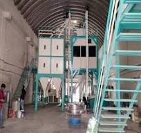 Automatic Sesame Seed Sortex Machine, Three Phase, 1Ton/hr Price &  Specifications | Shree Adesh Engineering – Rajkot