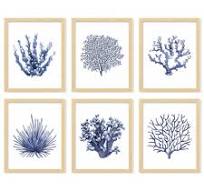 Amazon.com: 97 Decor Sea Coral Wall Decor - Coastal Coral ...