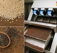 The Growing Role of Optical Sorting in Specialty Crop ...