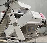 Galic Clove Color Sorting Machine For Sale