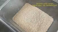 Sesame seeds sortex machine/seed sorter/sesame color  sorter-WhatsApp:+8618956052563#colorsorter