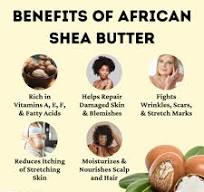 Amazon.com : Kyabo New Pure African White Ivory Shea Butter ...