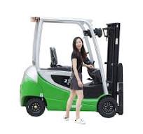 2024 Everlift CE Certificate Electric Battery Forklift 2ton ...