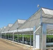 Greenhouse Structures
