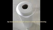 white rigid PP sheet in roll for thermoforming