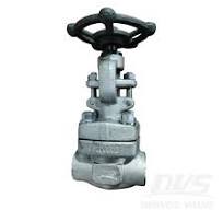 1/2 800LB Forged Steel Globe Valve SW F316/316L API602 Hand ...