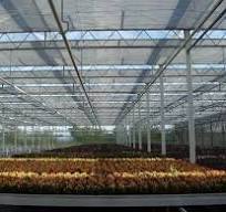 2 different kinds of aluminum foil reflective shade netting ...