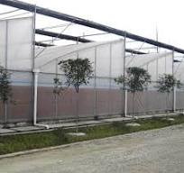 Sawtooth Greenhouse