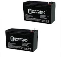 MIGHTY MAX BATTERY 12-Volt 9 Ah SLA (Sealed Lead Acid) Nut ...