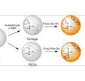 Color Test for Selective Detection of Secondary Amines on ...