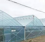 Custom Premium Sawtooth Greenhouse: Optimizing Growing ...