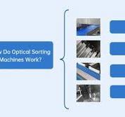 What is an Optical Sorting Machine? A Beginner's Guide ...