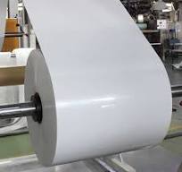 PP Sheet Roll For Thermoforming Plastic Bowl