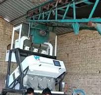 High accuracy spice colour sorter clove color sorting ...