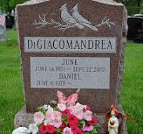 Feathered Friends Memorial Monuments: Graceful Tributes