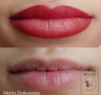 Royal Red | Perma Blend Pigments - Perma Blend