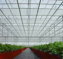95% UV Protection Reflective Aluminum Foil Shade Net & Cloth