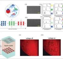 Structural Colors Go Active - Li - 2025 - Advanced Science ...