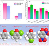 Construction of aldehyde-based, ester-based hyper-cross ...