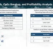 SLES Production Cost & Feasibility Study | IMARC Group