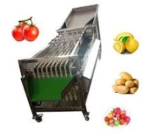 Professional Automatic Good Quality Fruit Grader Tomato Pear Kiwi Lemon  Fruit Size Sorter Fruit Sorting Machine
