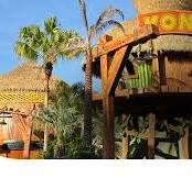 Theme Park Theming Experts | Tiki King