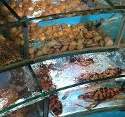 BOAT DWELLER STEAM HOT POT SPECIALIST, Hong Kong - Tsim Sha ...