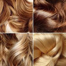 ملف شامل عن صبغ الشعر أولا معلومات عامة The Makeover Spa