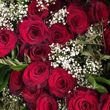 صور ورود رمزيات ورود صور ورد رومانسي Roses