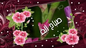 صباح الورد والفل صور جميلة مكتوب عليها عبارات عن الصباح كلام نسوان
