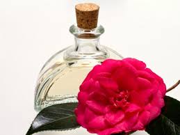 Dầu hoa trà (Camellia oil) - Nguyên liệu làm mỹ phẩm
