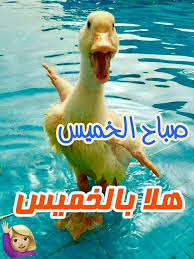 صباح الخير مضحكة صباح جميل بطعم الكوميديا صباح الورد