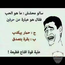 صور مضحكة جميلة Hd خلفيات مضحكة صور نكت صورميكس