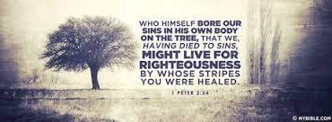 1 Peter 2:24 NKJV - Bore Our Sins In His Own Body - Facebook Cover ...
