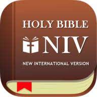 NIV BIBLE APK 5.92 - download free apk from APKSum