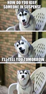 Bad Pun Dog 2 | HOW DO YOU KEEP SOMEONE IN SUSPENSE I'LL TELL YOU TOMORROW  | image tagged in bad pun dog 2 | made w/ … | Animal jokes, Dog jokes,  Funny animal memes